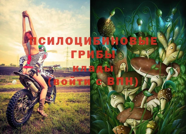 гашишное масло Бронницы