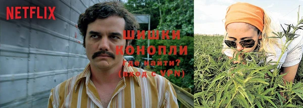 марки nbome Бородино