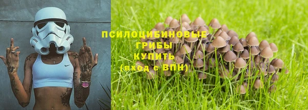 марки nbome Бородино