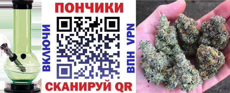 Каннабис планчик  Томмот 