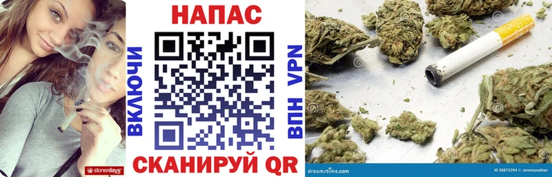 Марихуана гибрид Томмот
